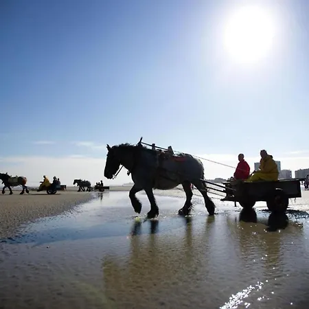 In Belgium Near Marina Nieuwpoort, Cleaning Included Lägenhet *